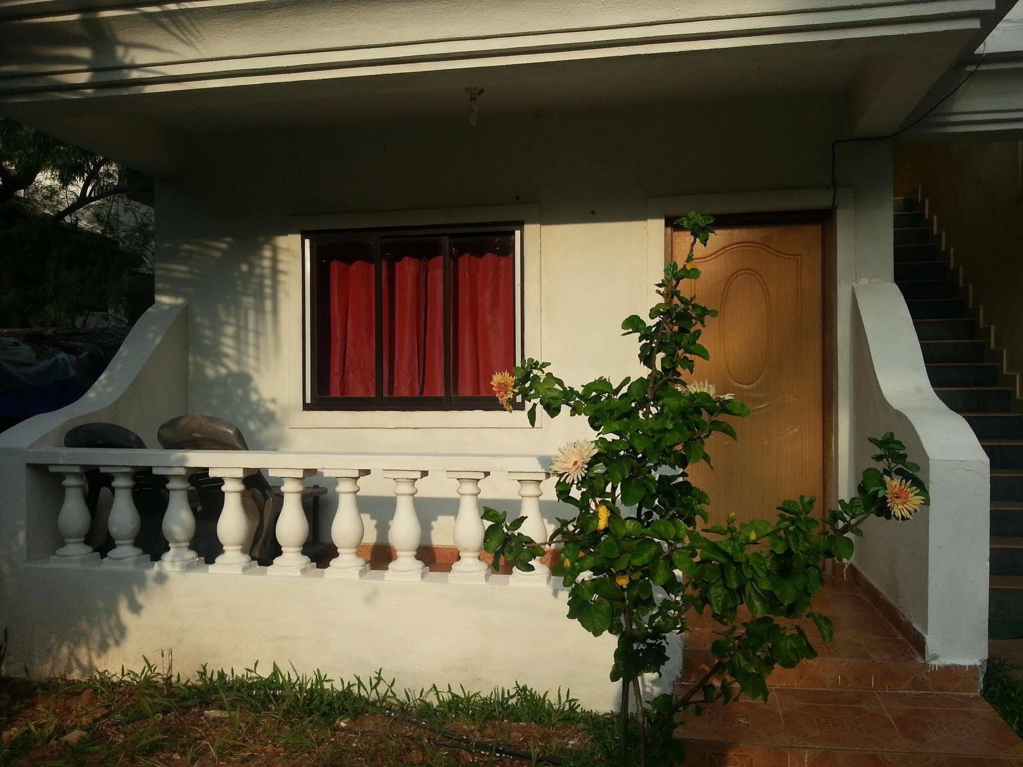 Guest house Wtf My House