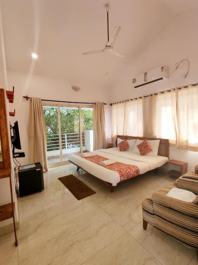 Wtf My House Guest house